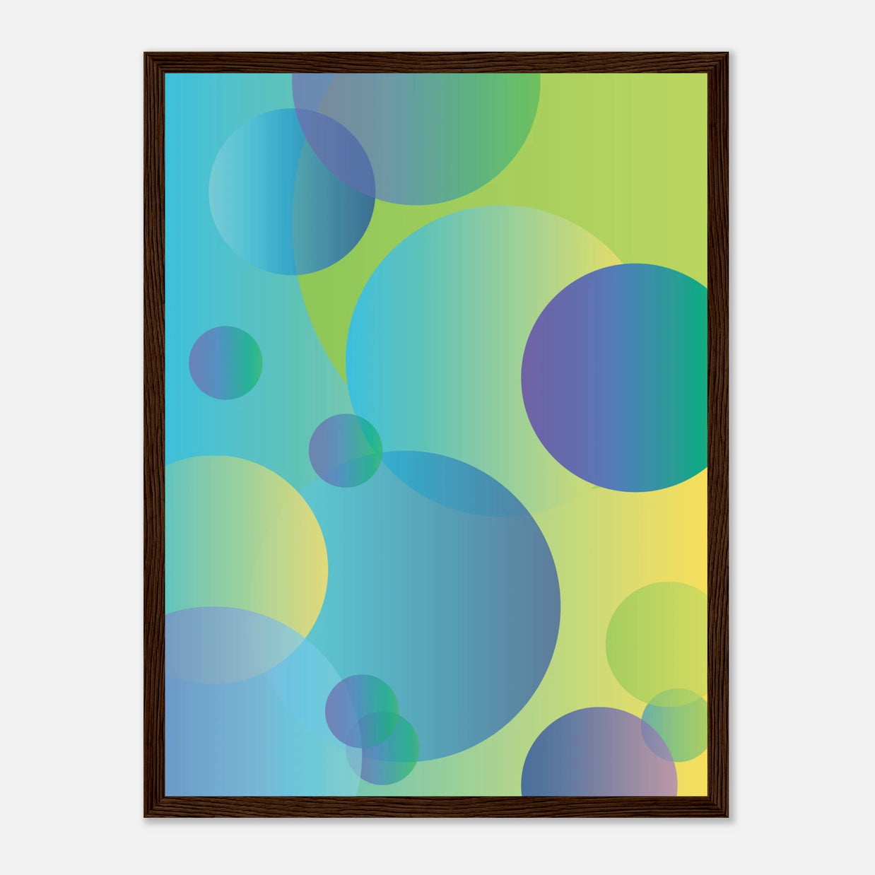 c8265969-407c-4b32-b58c-5cd3a8493200